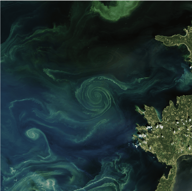 Vortex dans les océans