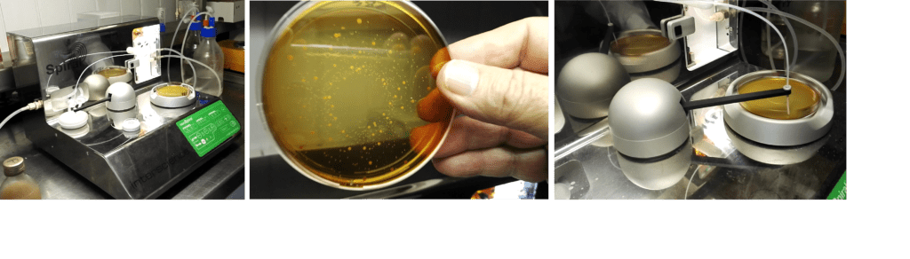 Analyse MicrotoxO - Yann Olivaux - Bernard Berthet