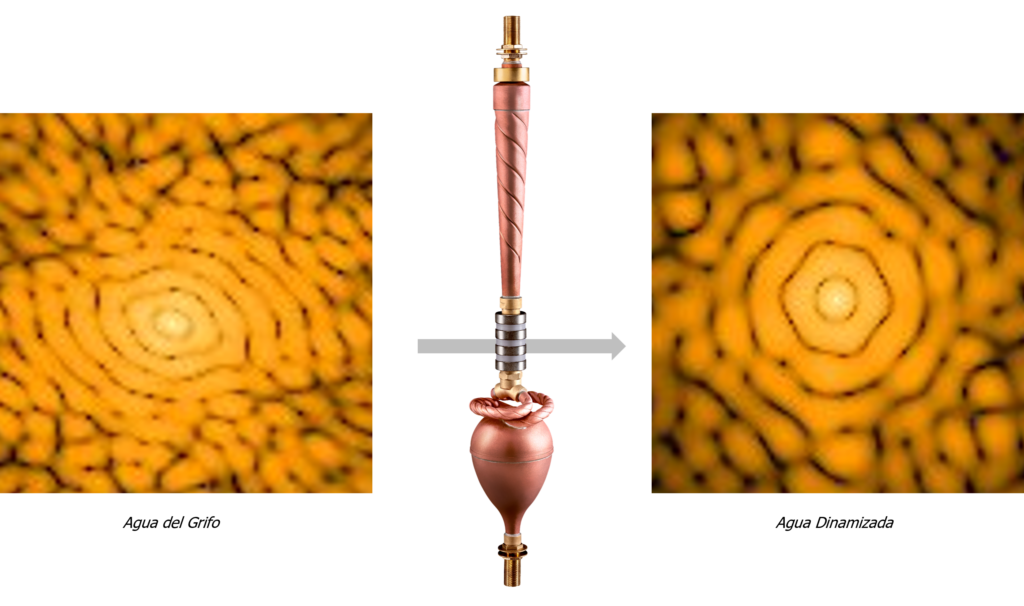 Estructura fotónica FFT - Biodynamizer