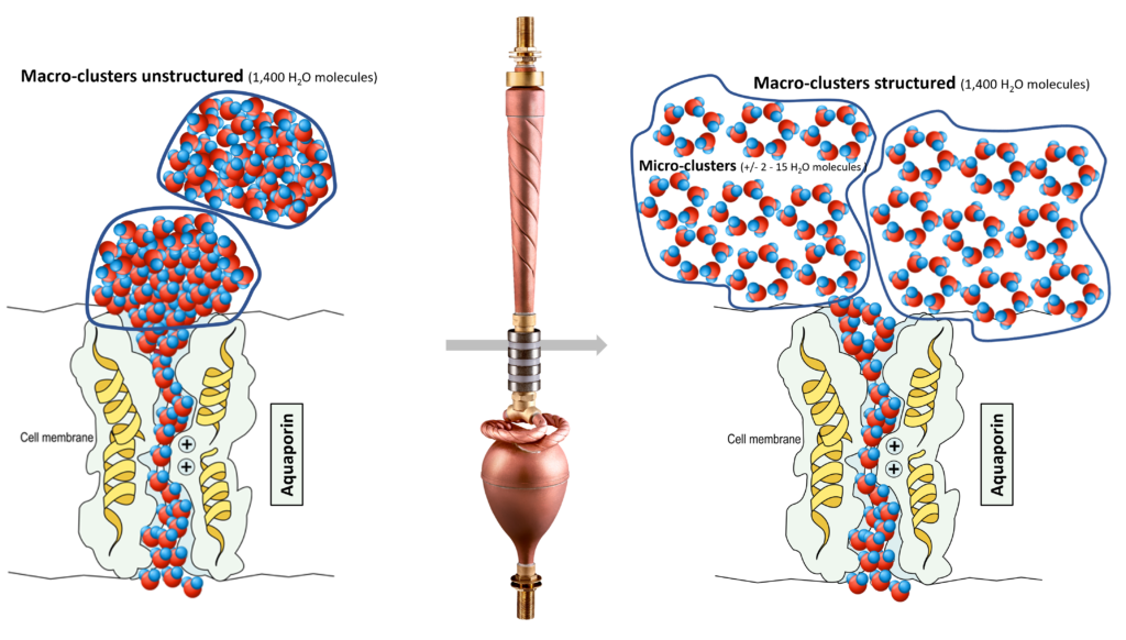 Restructured watermolecules - Biodynamizer